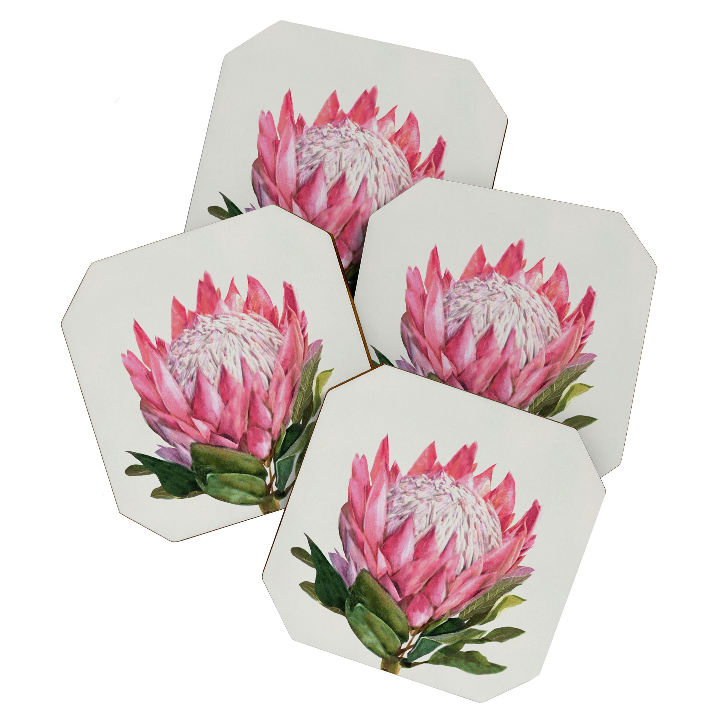Protea Coaster Gallery Image 1