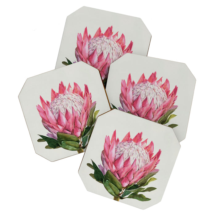 Protea Coaster Gallery Image 1