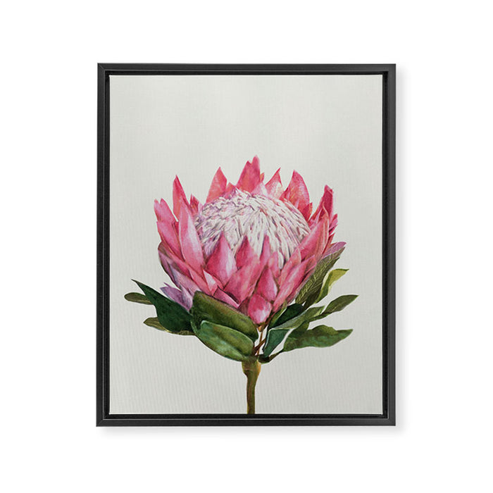 Protea Framed Canvas Print Gallery Image 1