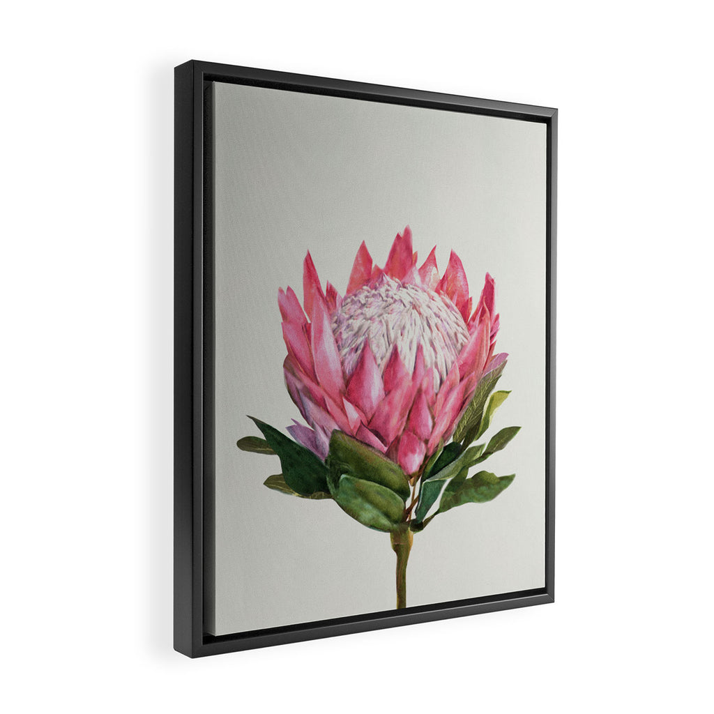 Protea Framed Canvas Print Gallery Image 2