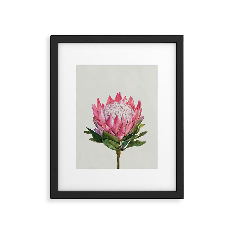 Protea Framed Art Print Gallery Image 5