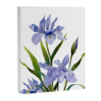 Purple Iris Canvas Print Gallery Image 6