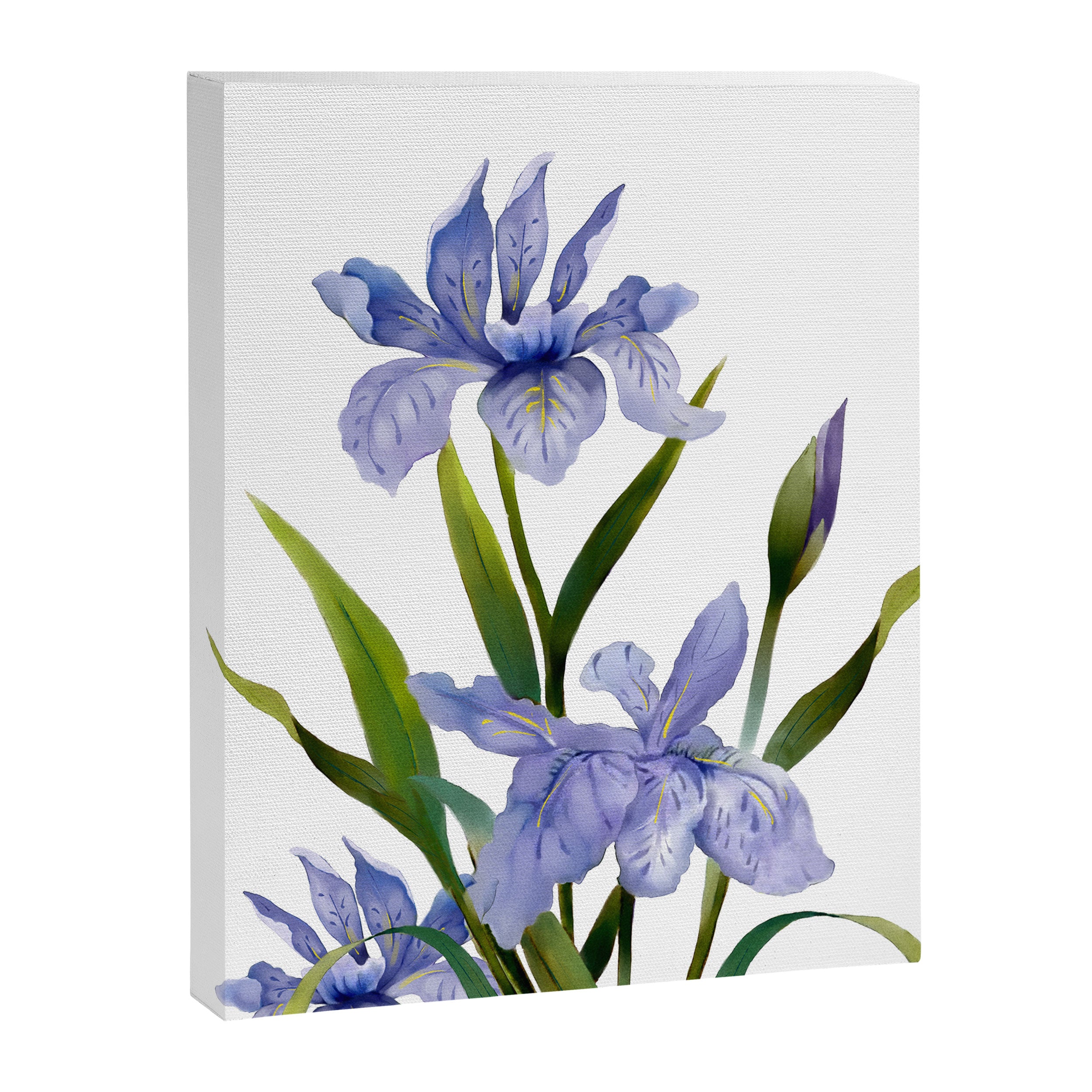 Purple Iris Canvas Print Gallery Image 6