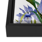 Purple Iris Framed Canvas Print Gallery Image 3