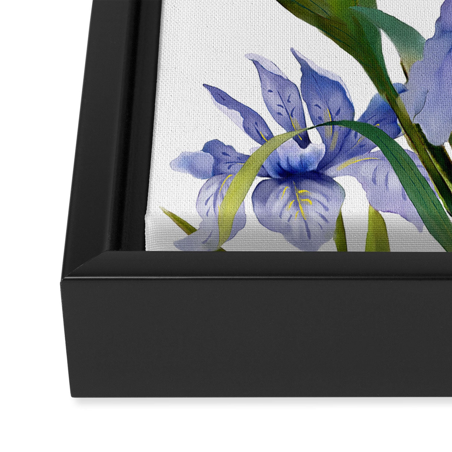Purple Iris Framed Canvas Print Gallery Image 3