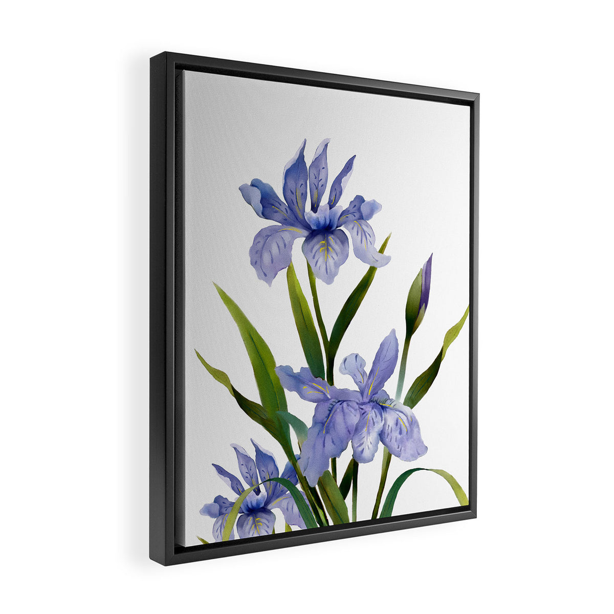 Purple Iris Framed Canvas Print Gallery Image 2
