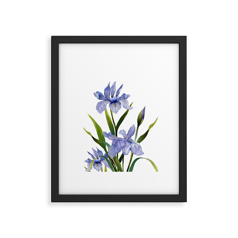 Purple Iris Framed Art Print Gallery Image 4