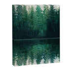 Reflection Canvas Print Gallery Image 6