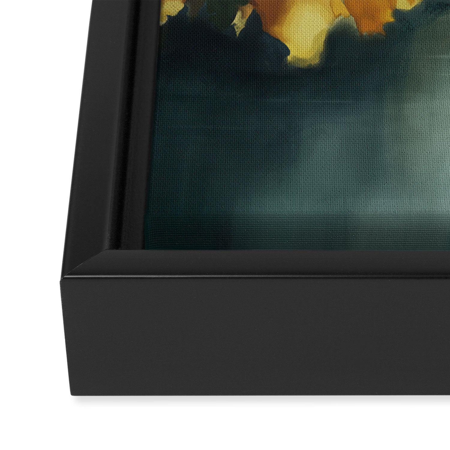 Silent Flight  Framed Canvas Print Gallery Image 3