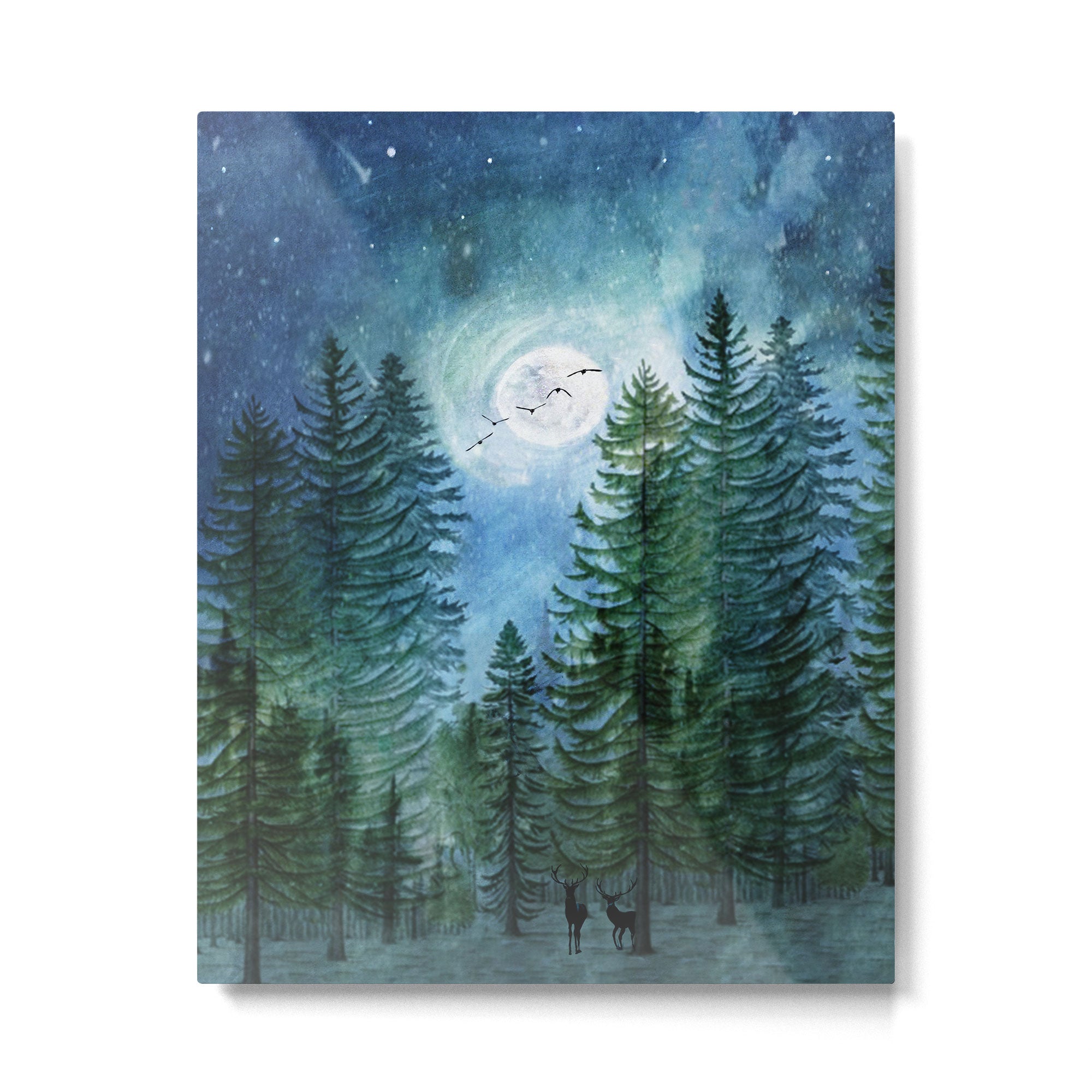 Silent Forest Metal Print Gallery Image 4