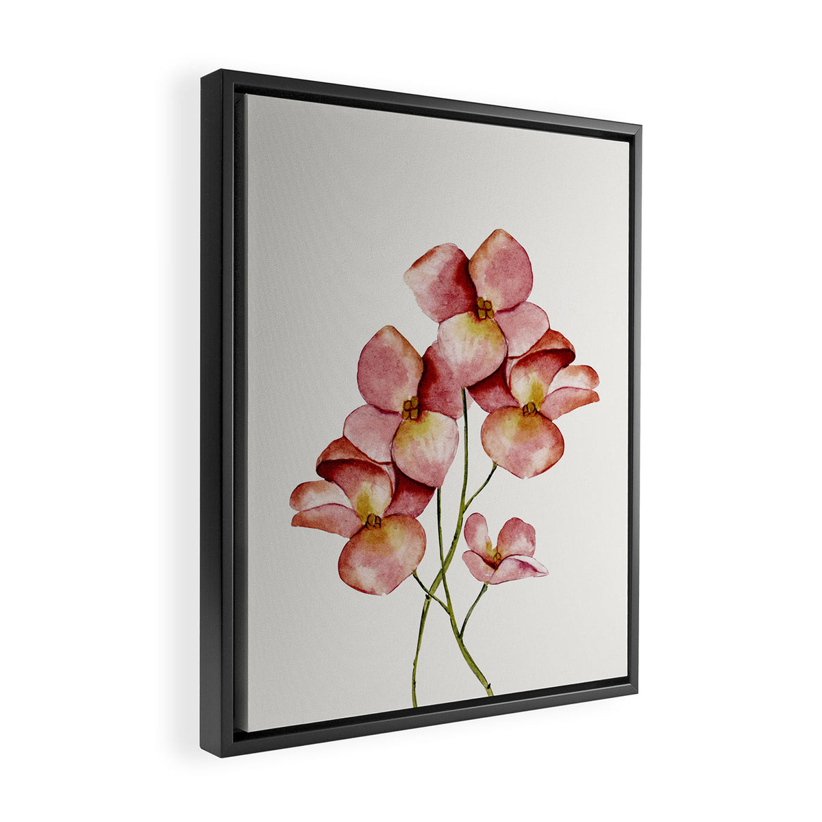 Soft Flowers Framed Canvas Print Gallery Image 2