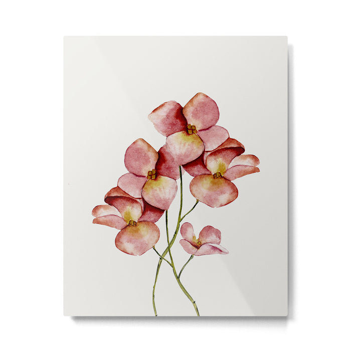 Soft Flowers Metal Print Gallery Image 1