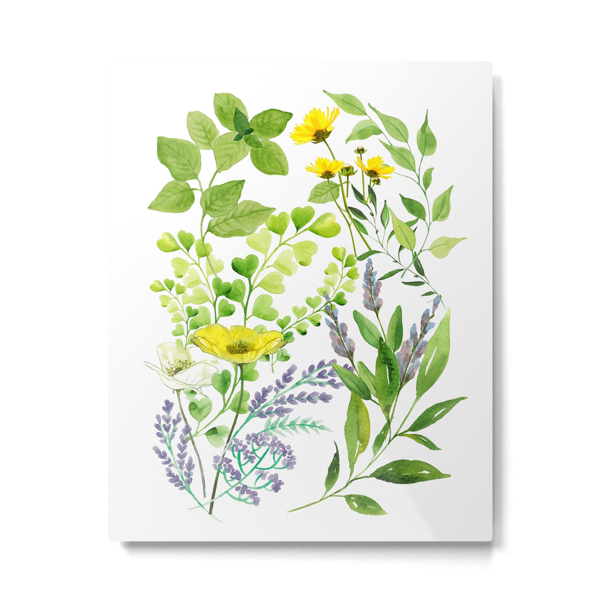 Springtime Metal Print Gallery Image 6