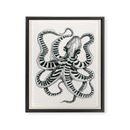 Striped Octopus Ink Drawing Framed Canvas Print Gallery Image 6