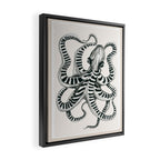 Striped Octopus Ink Drawing Framed Canvas Print Gallery Image 2