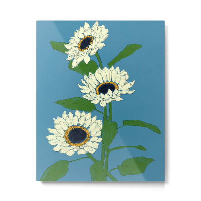 Sunflower Blue Sami Metal Print Gallery Image 1