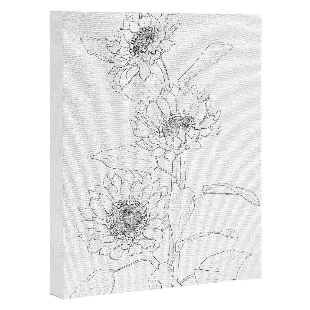 Sunflower Line Sami Canvas Print Gallery Image 3