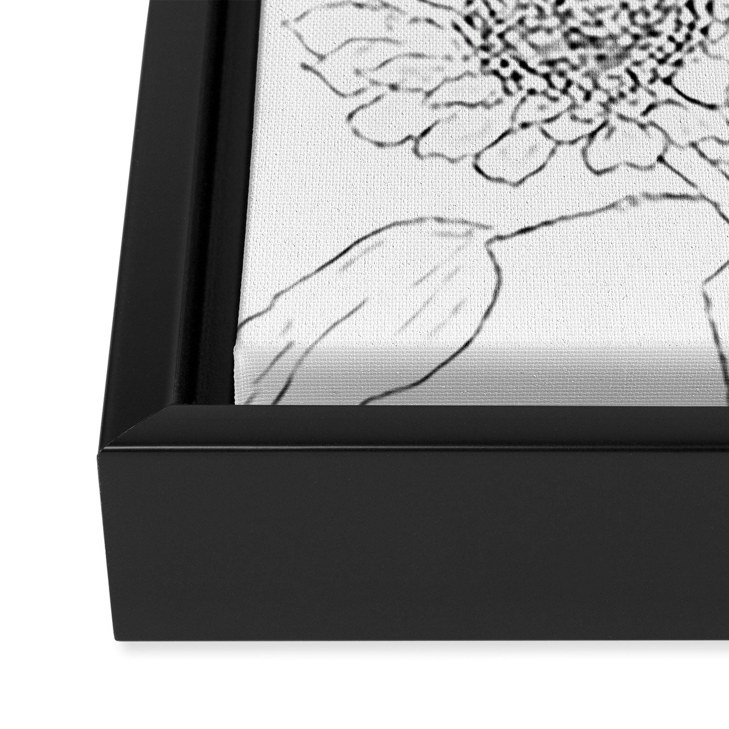 Sunflower Line Sami Framed Canvas Print Gallery Image 3