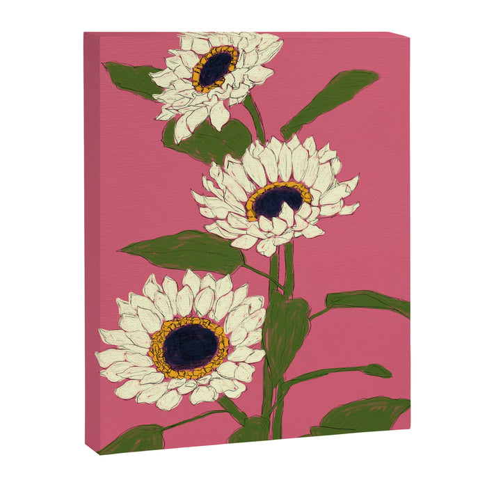 Sunflower Pink Sami Canvas Print Gallery Image 1