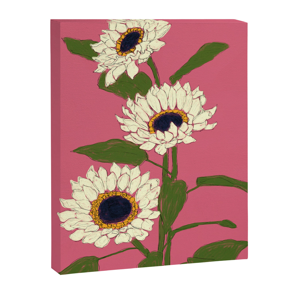 Sunflower Pink Sami Canvas Print Gallery Image 6