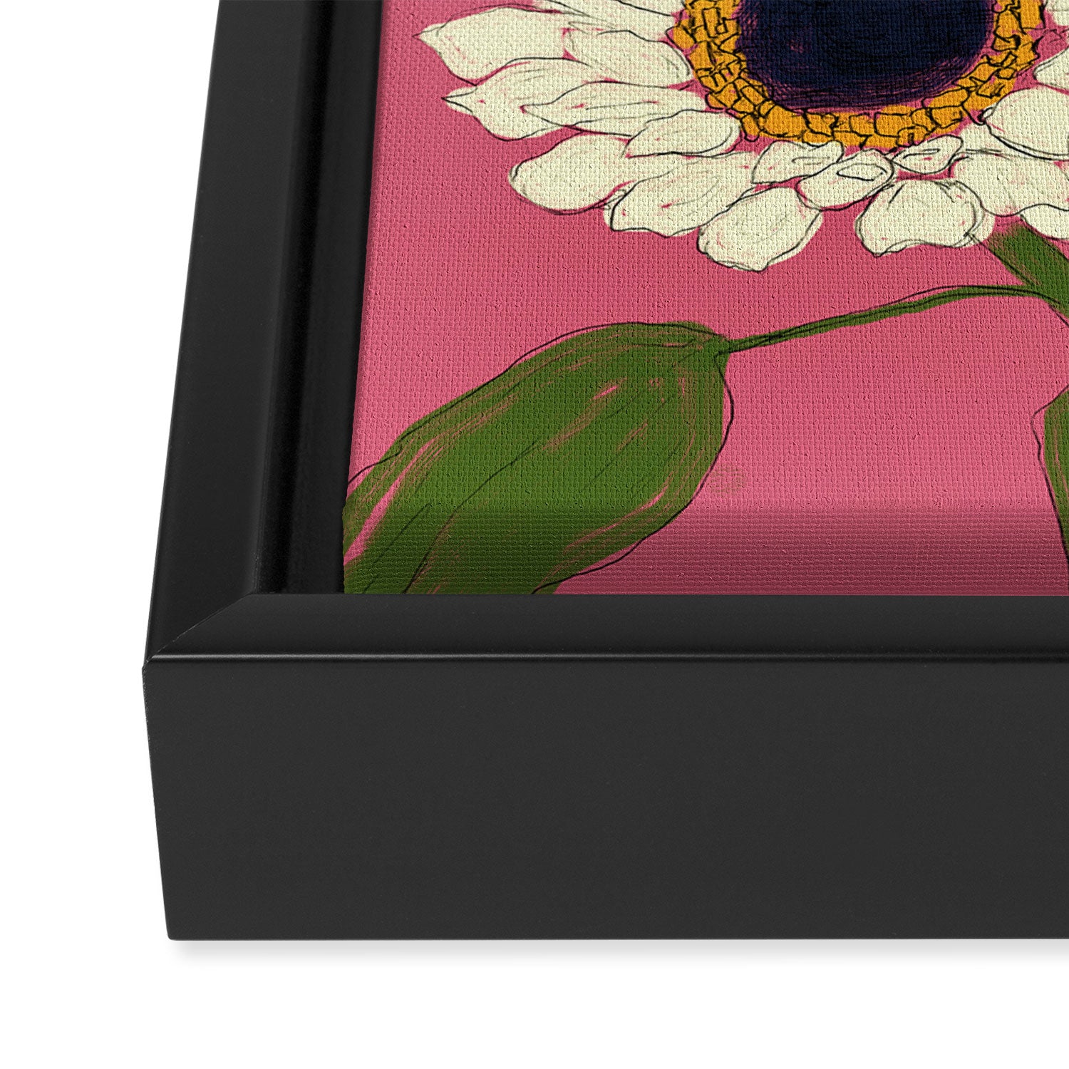 Sunflower Pink Sami Framed Canvas Print Gallery Image 3