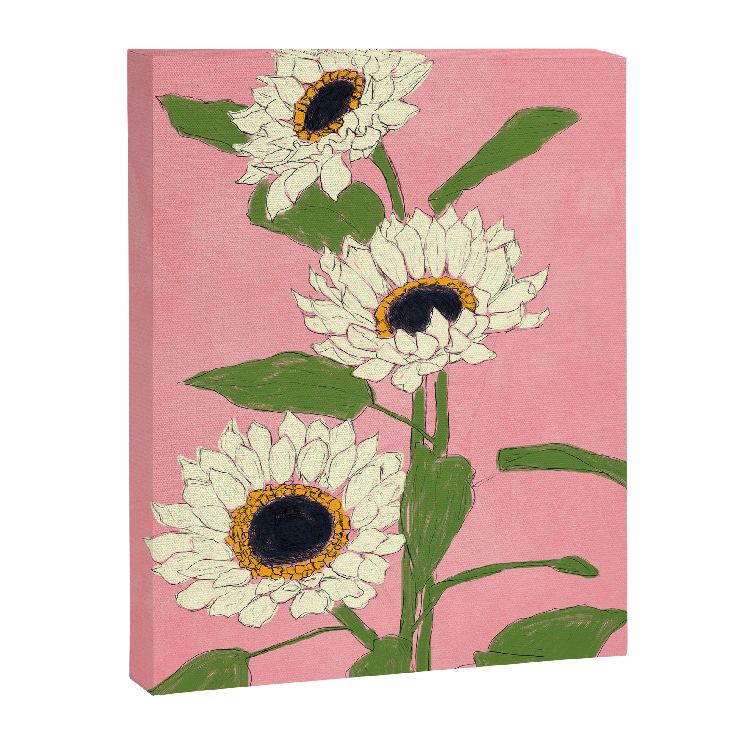 Sunflower Pink Sami Canvas Print Gallery Image 6
