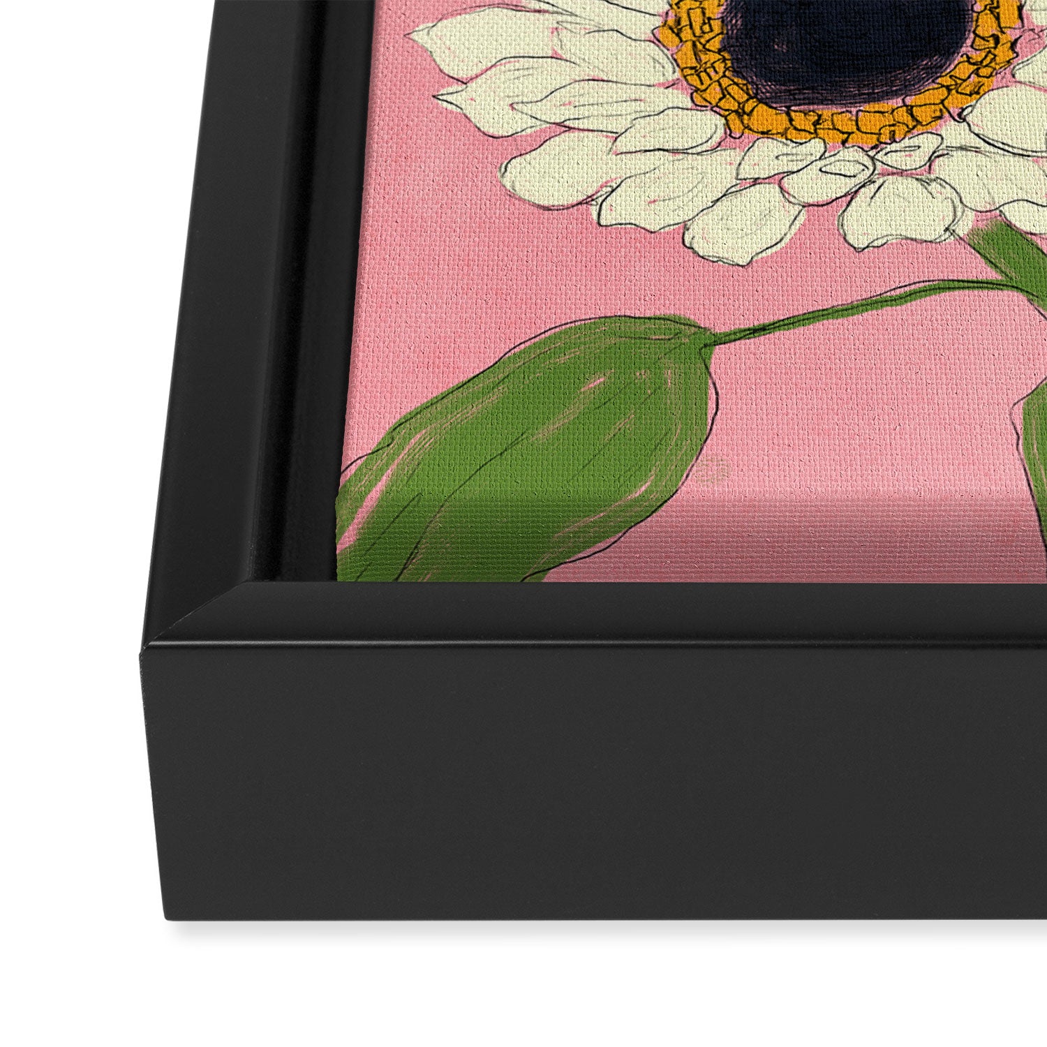 Sunflower Pink Sami Framed Canvas Print Gallery Image 3