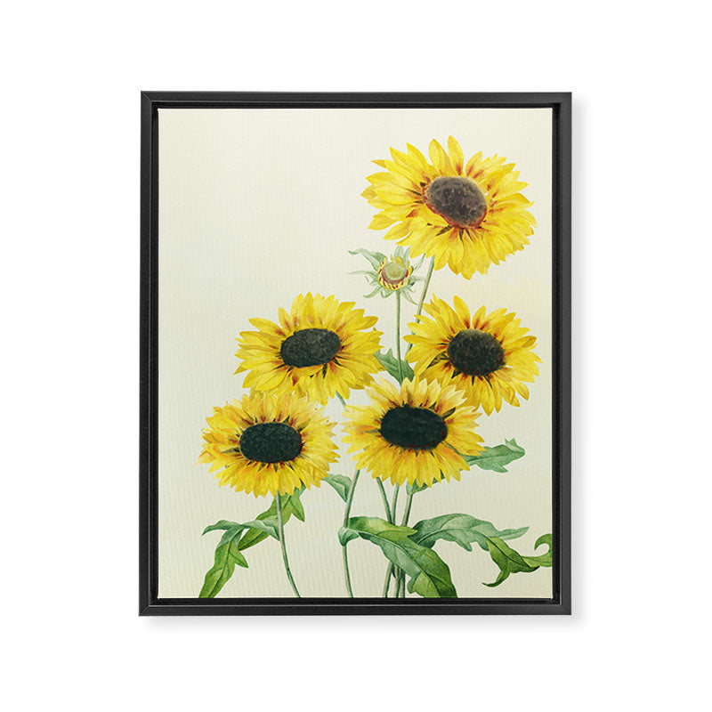 Sunflowers Framed Canvas Print Gallery Image 3