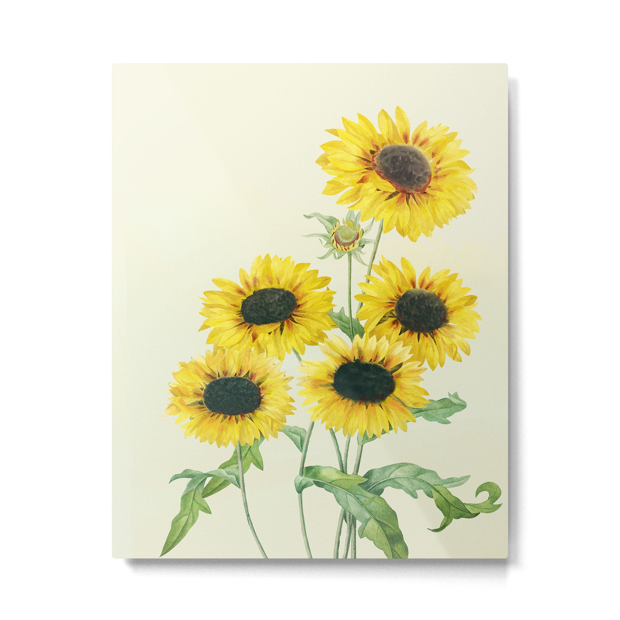 Sunflowers Metal Print Gallery Image 4