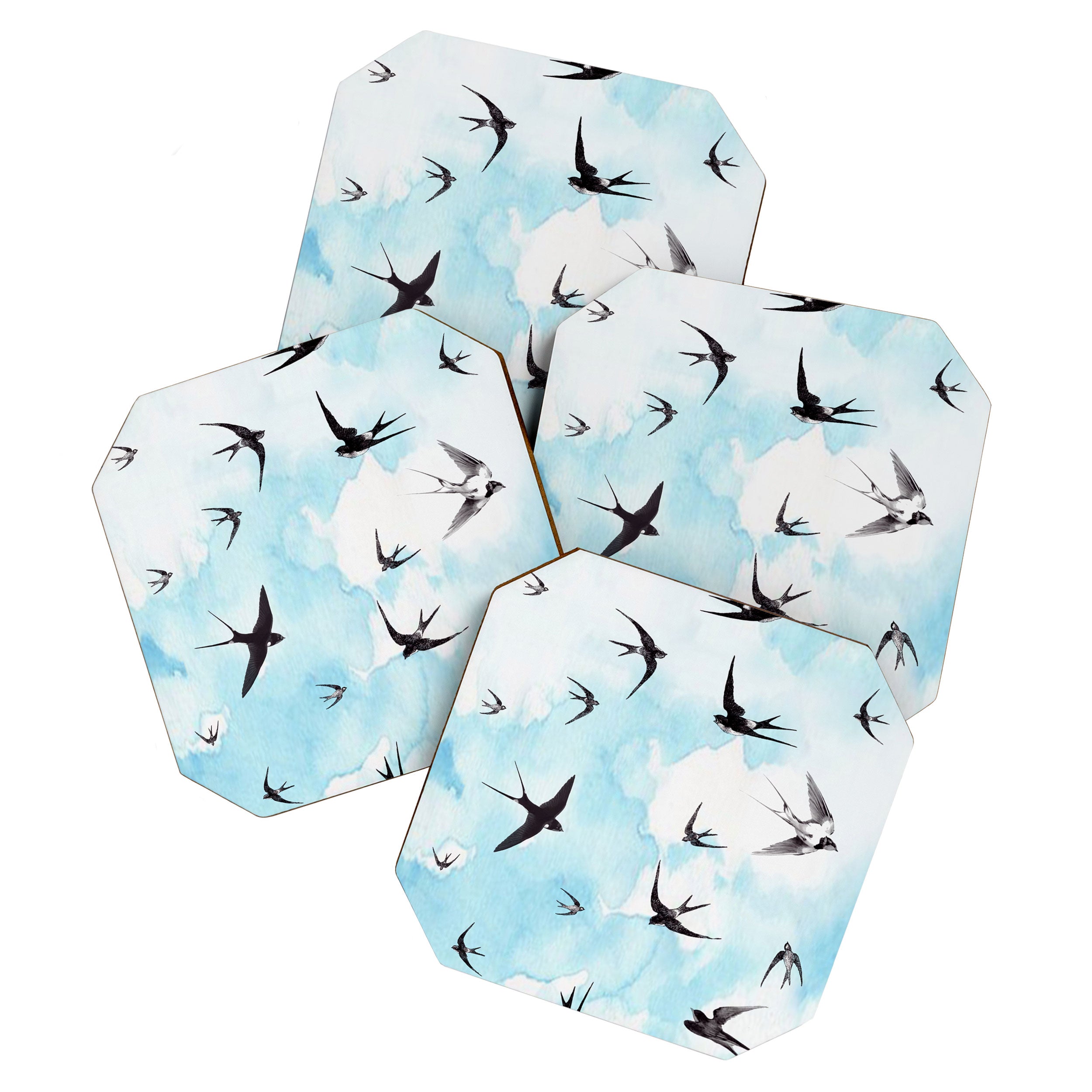 Swallows Coaster Gallery Image 1