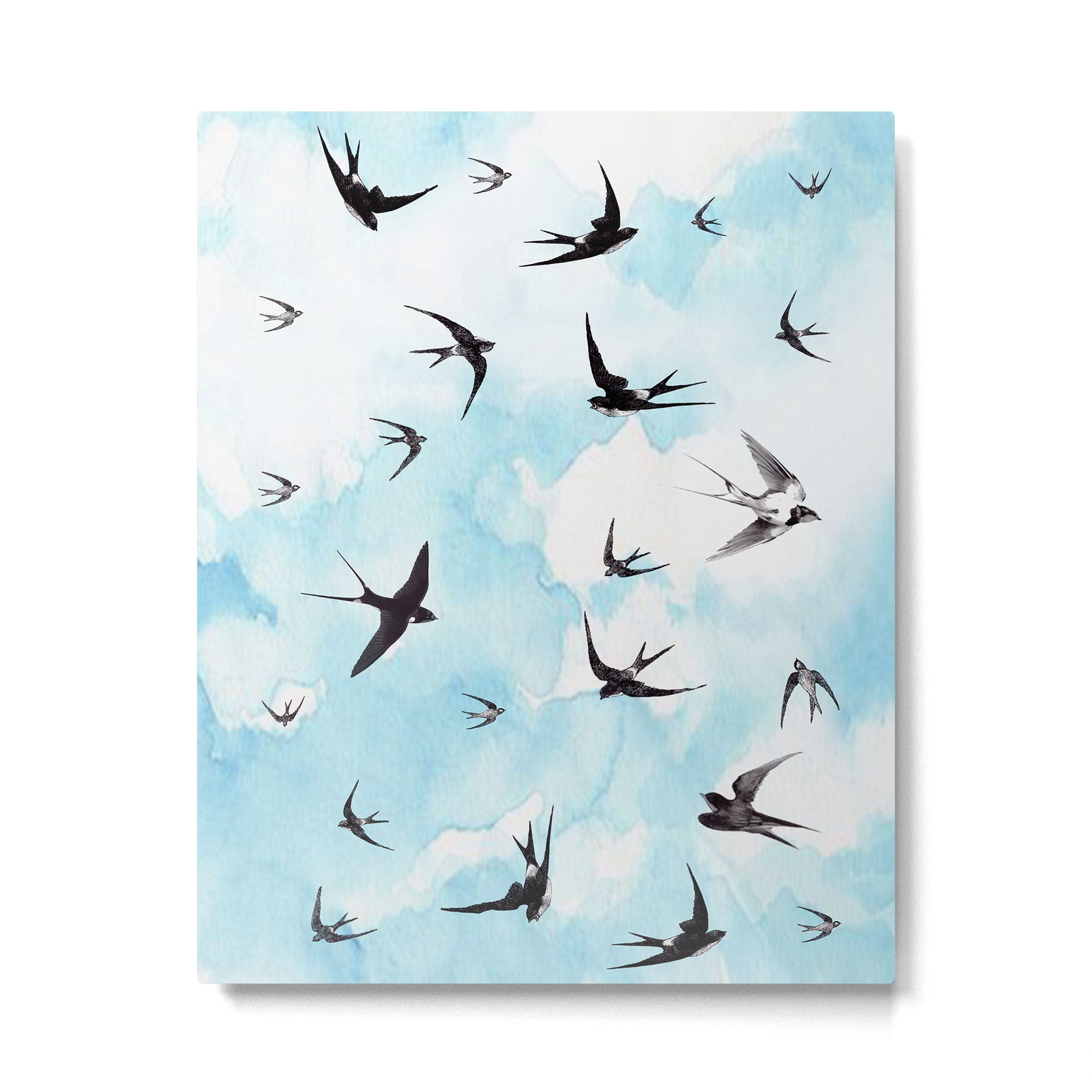 Swallows Metal Print Gallery Image 4