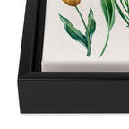 Vibrant Flowers 03 Framed Canvas Print Gallery Image 3