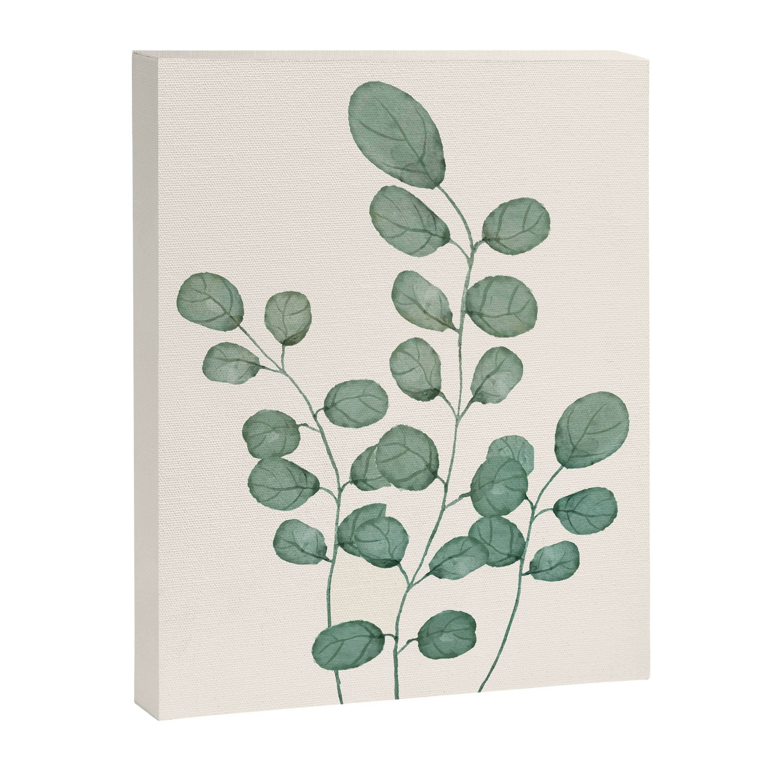 Watercolor Eucalyptus Canvas Print Gallery Image 8