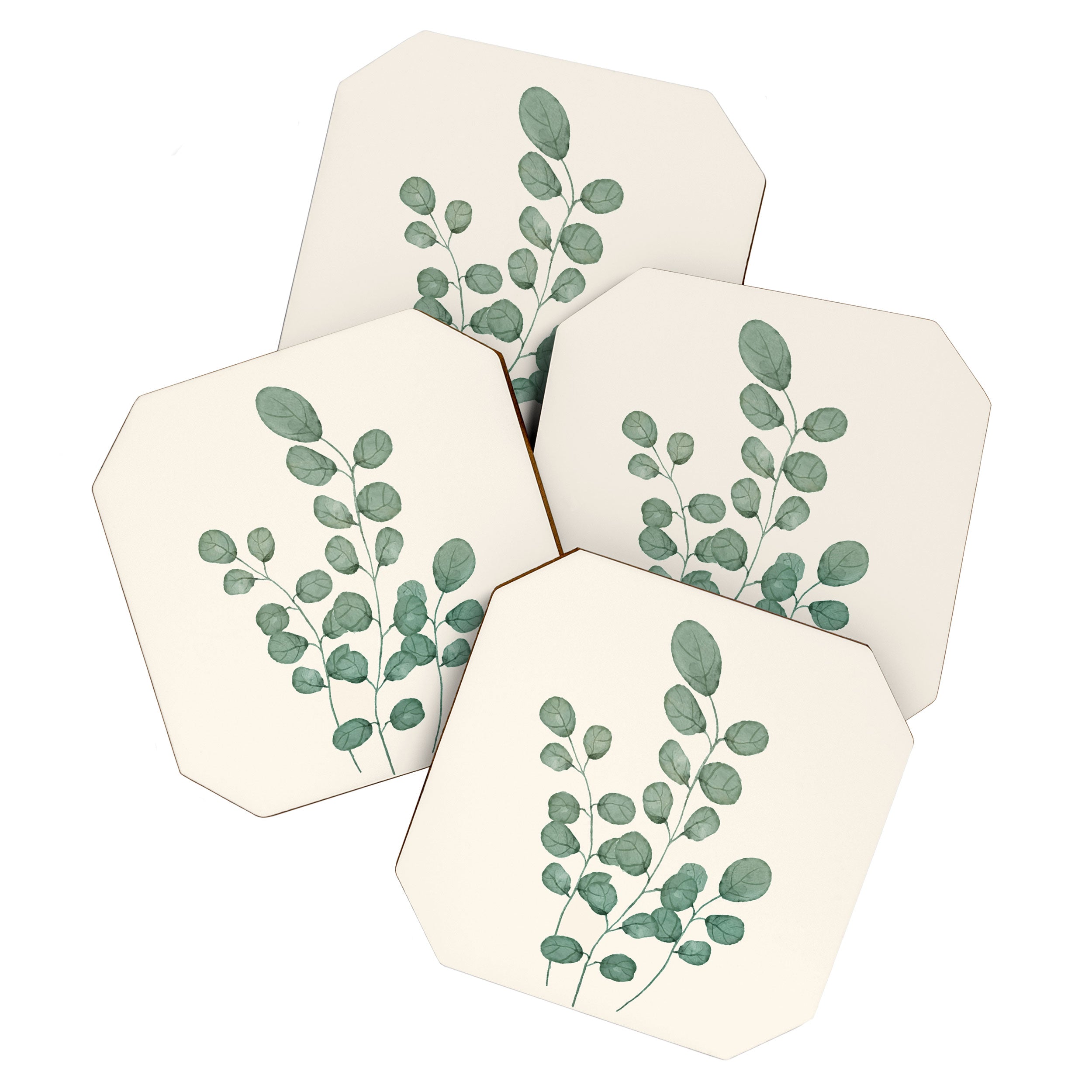 Watercolor Eucalyptus Coaster Gallery Image 1