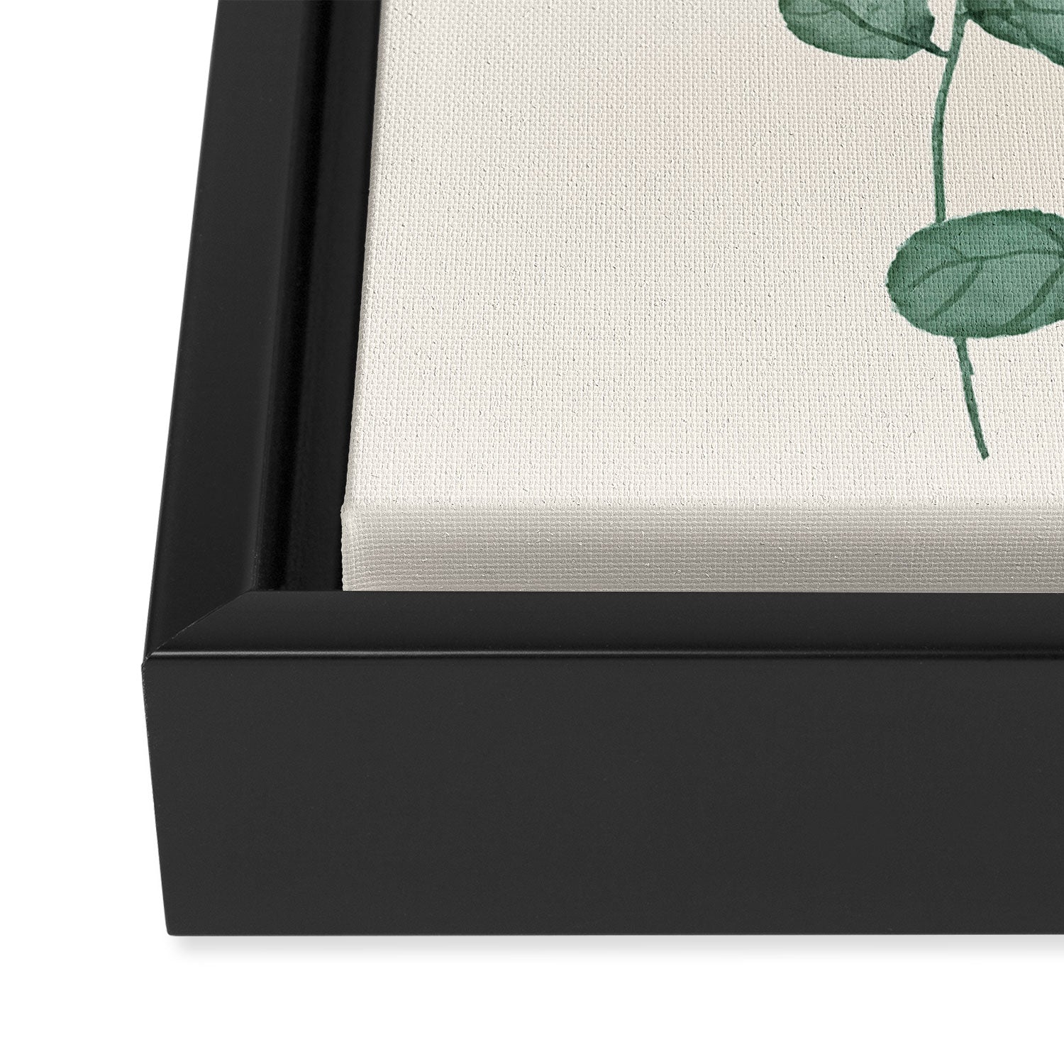 Watercolor Eucalyptus Framed Canvas Print Gallery Image 3