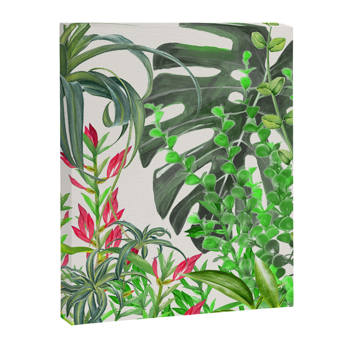 Watercolor Plants III Canvas Print Gallery Image 8