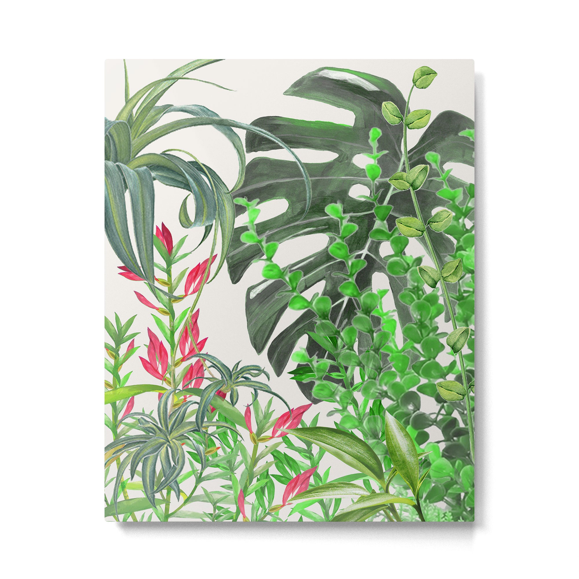 Watercolor Plants III Metal Print Gallery Image 6