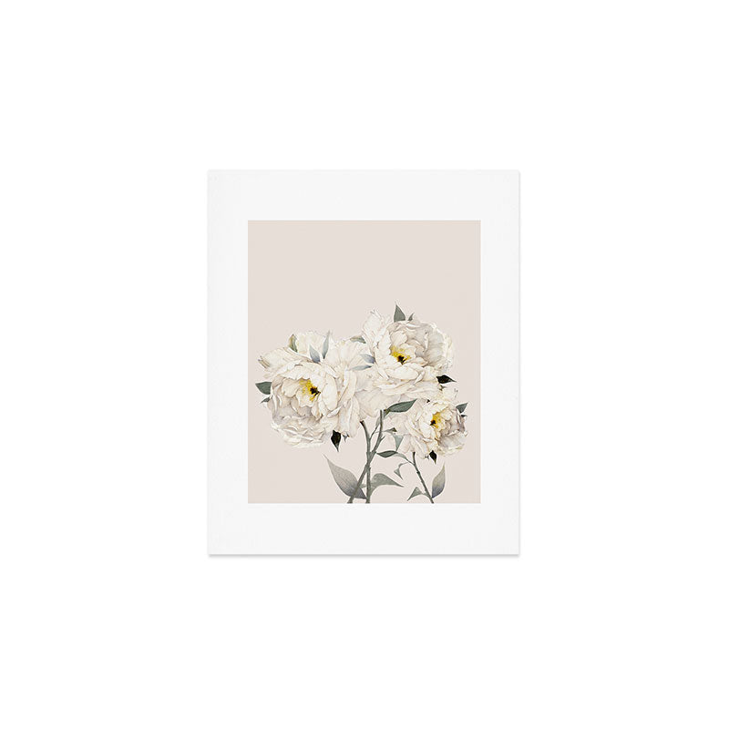 White Peonies Art Print Gallery Image 1