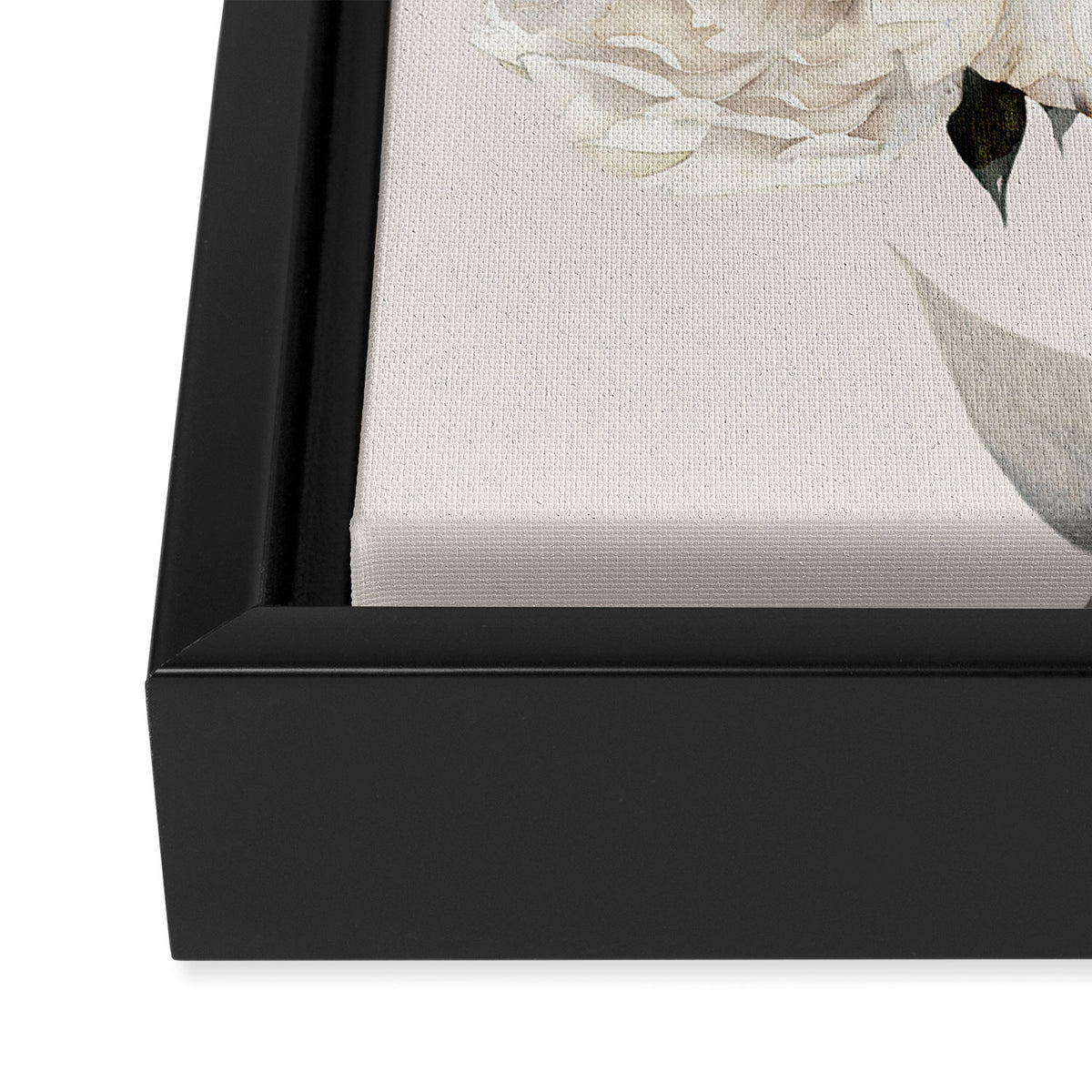White Peonies Framed Canvas Print Gallery Image 3