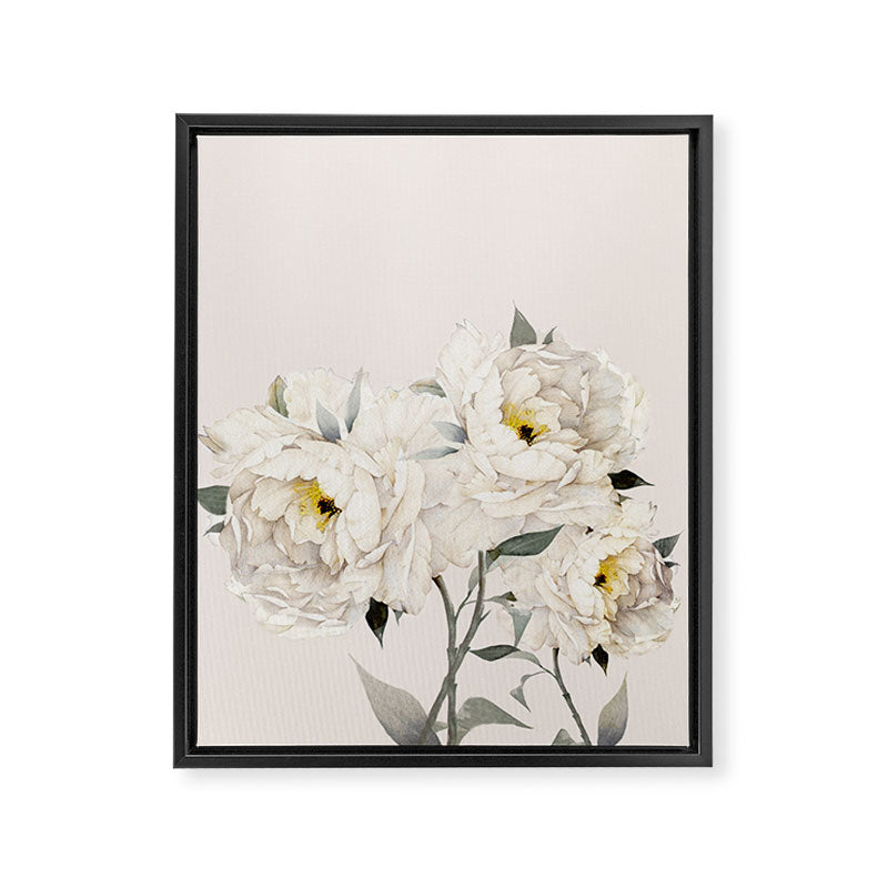 White Peonies Framed Canvas Print Gallery Image 8