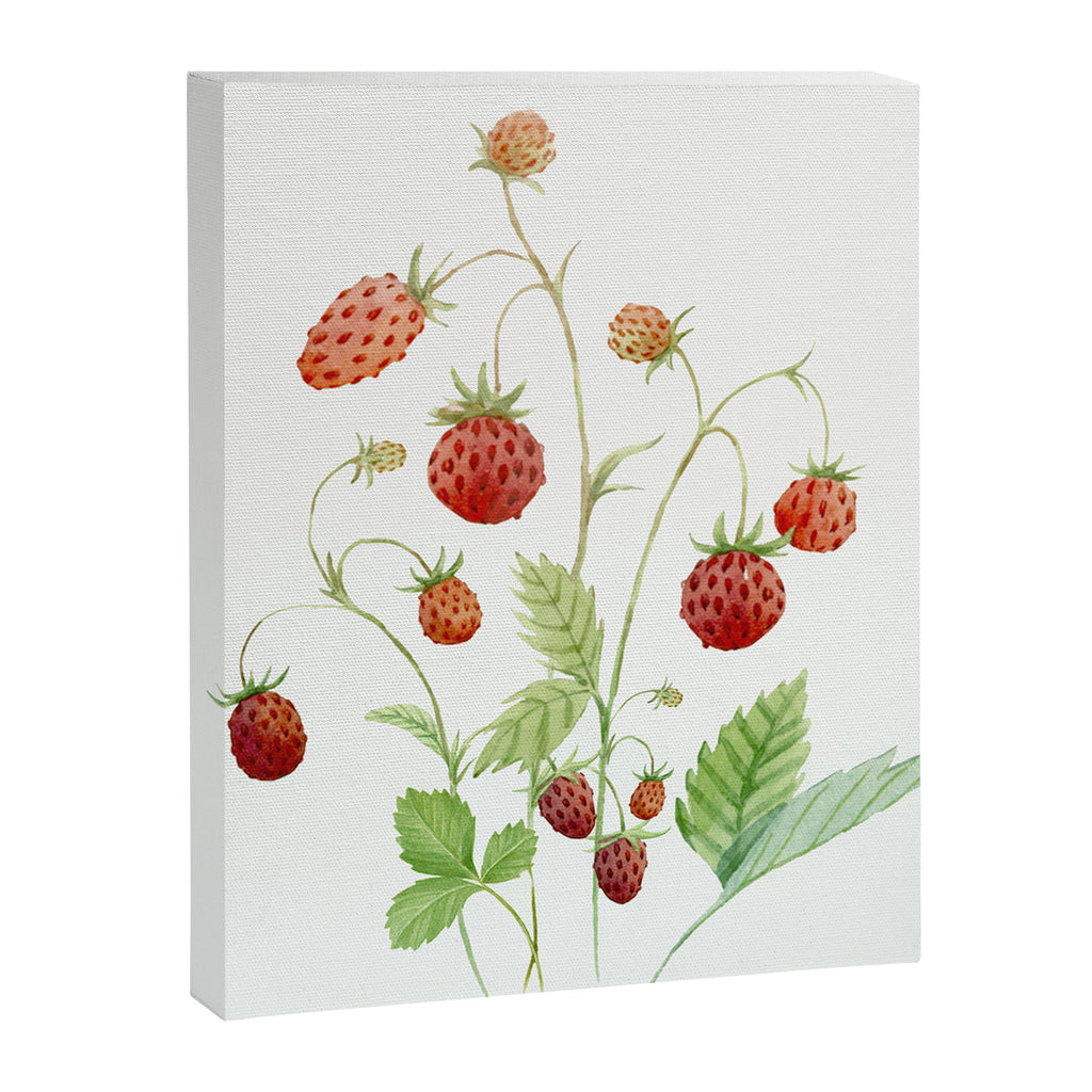 Wild Strawberries Canvas Print Gallery Image 6