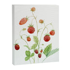 Wild Strawberries Canvas Print Gallery Image 6
