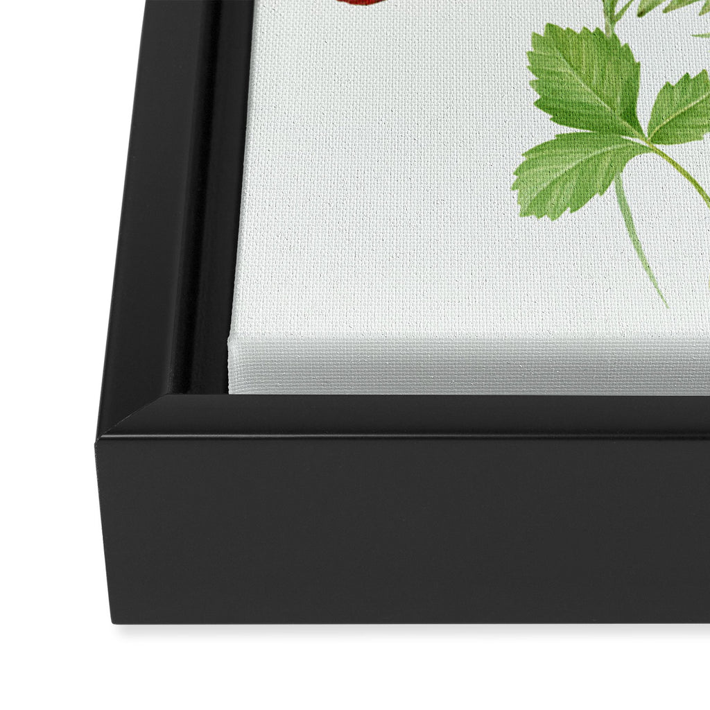 Wild Strawberries Framed Canvas Print Gallery Image 3