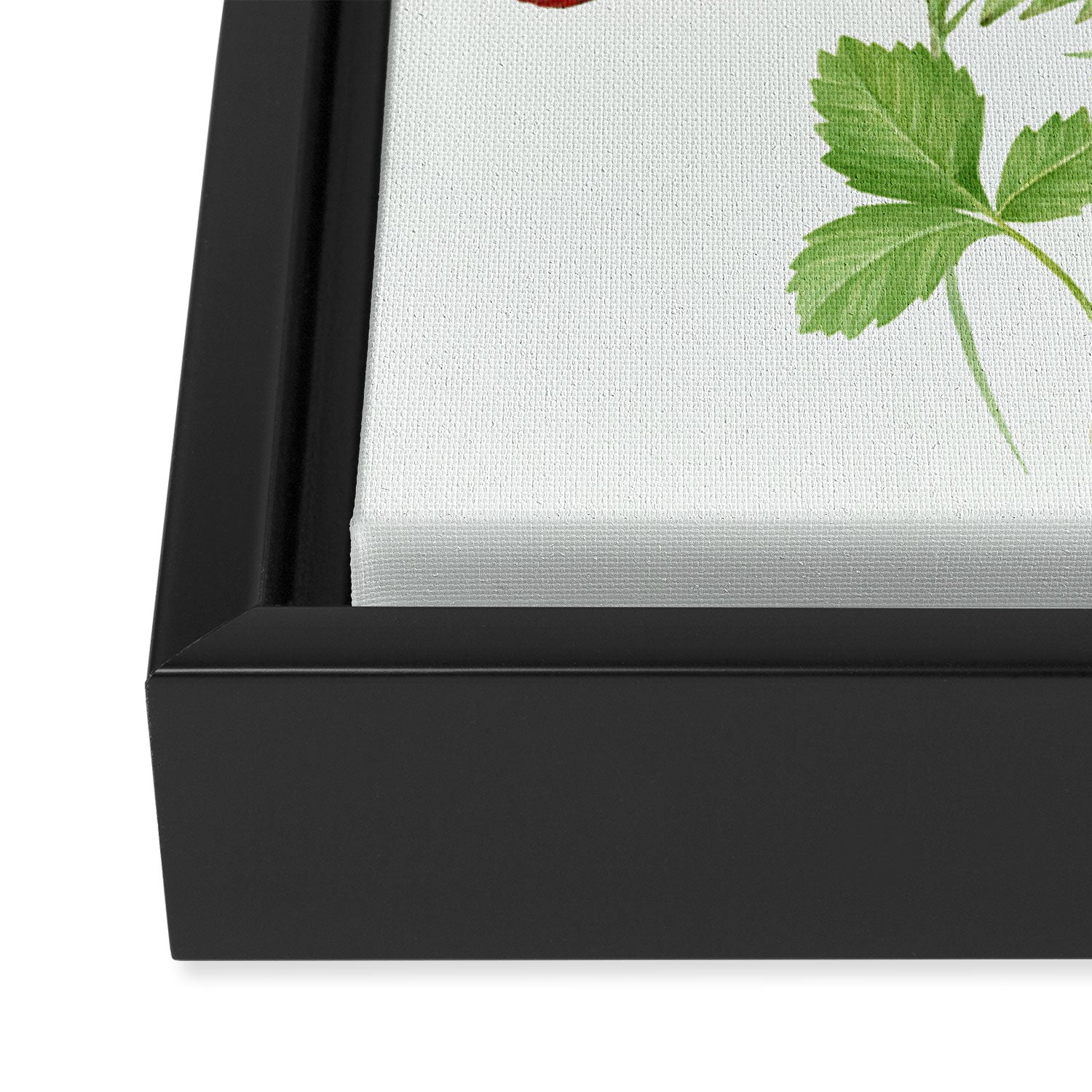 Wild Strawberries Framed Canvas Print Gallery Image 3