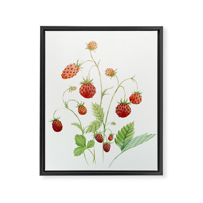 Wild Strawberries Framed Canvas Print Gallery Image 1