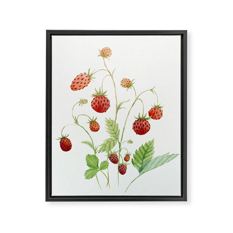Wild Strawberries Framed Canvas Print Gallery Image 6