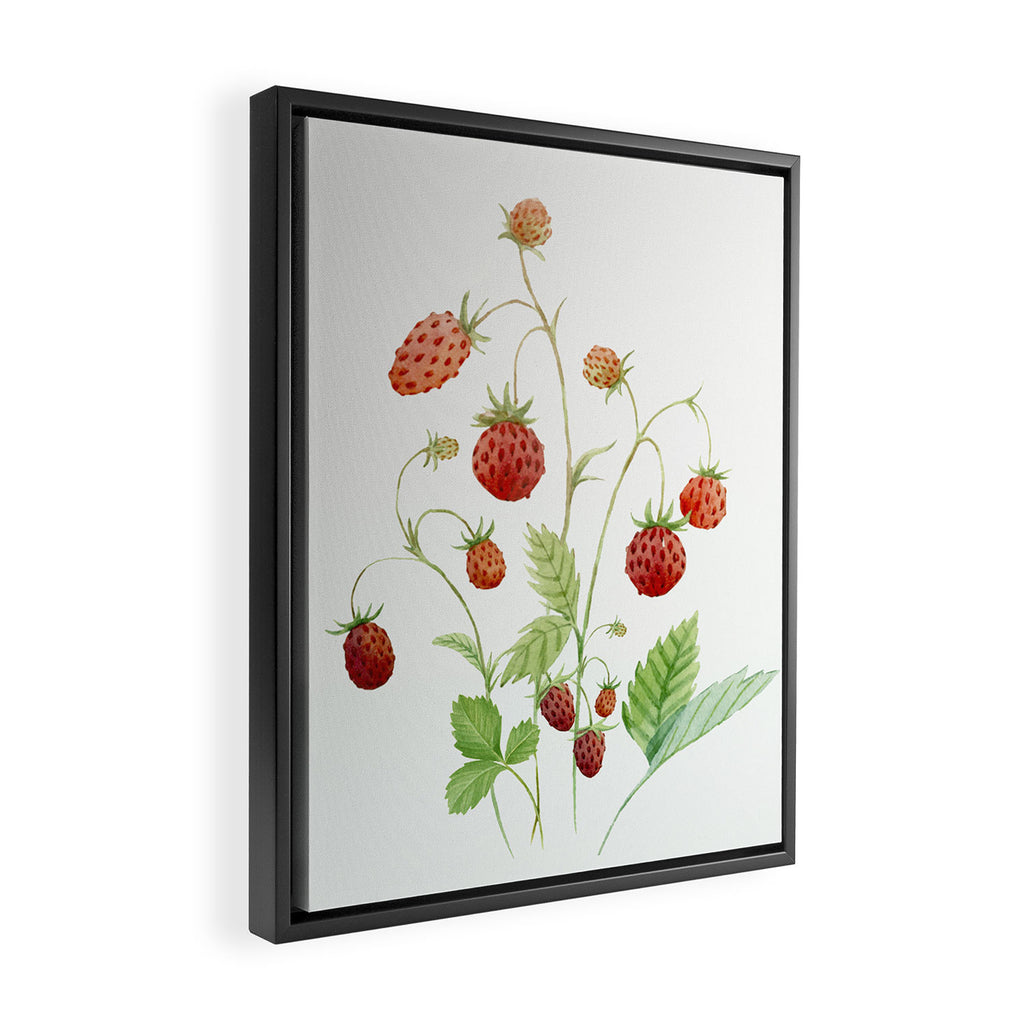 Wild Strawberries Framed Canvas Print Gallery Image 2