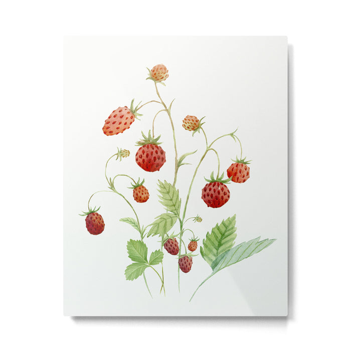 Wild Strawberries Metal Print Gallery Image 1