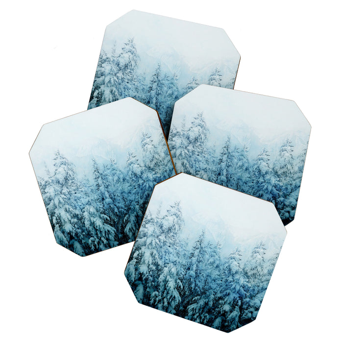 Winter Forest Coaster Gallery Image 1