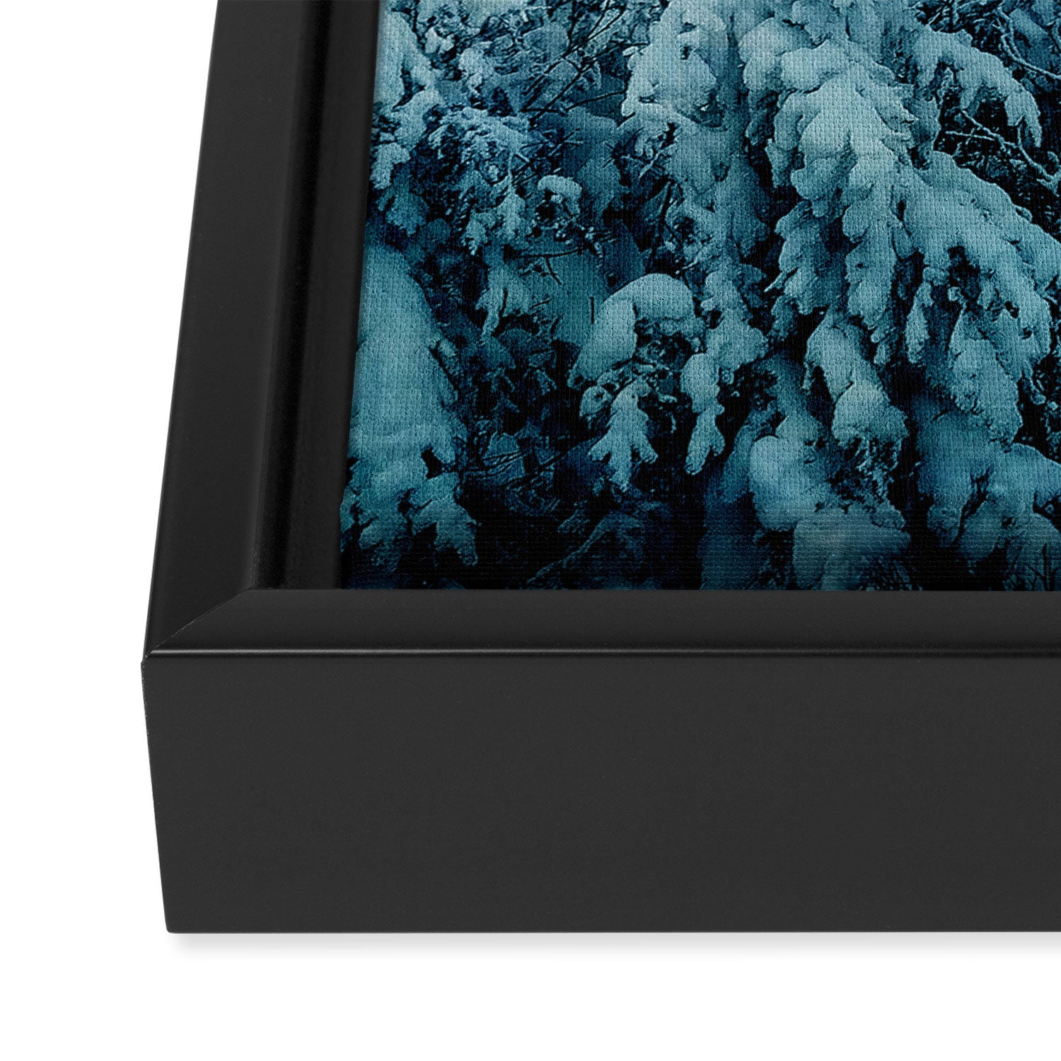 Winter Forest Framed Canvas Print Gallery Image 3
